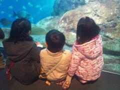 1293732411-2010-12-29 11.13.33-small.jpg